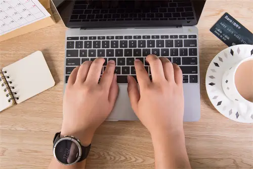 漫画养猫是什么含义